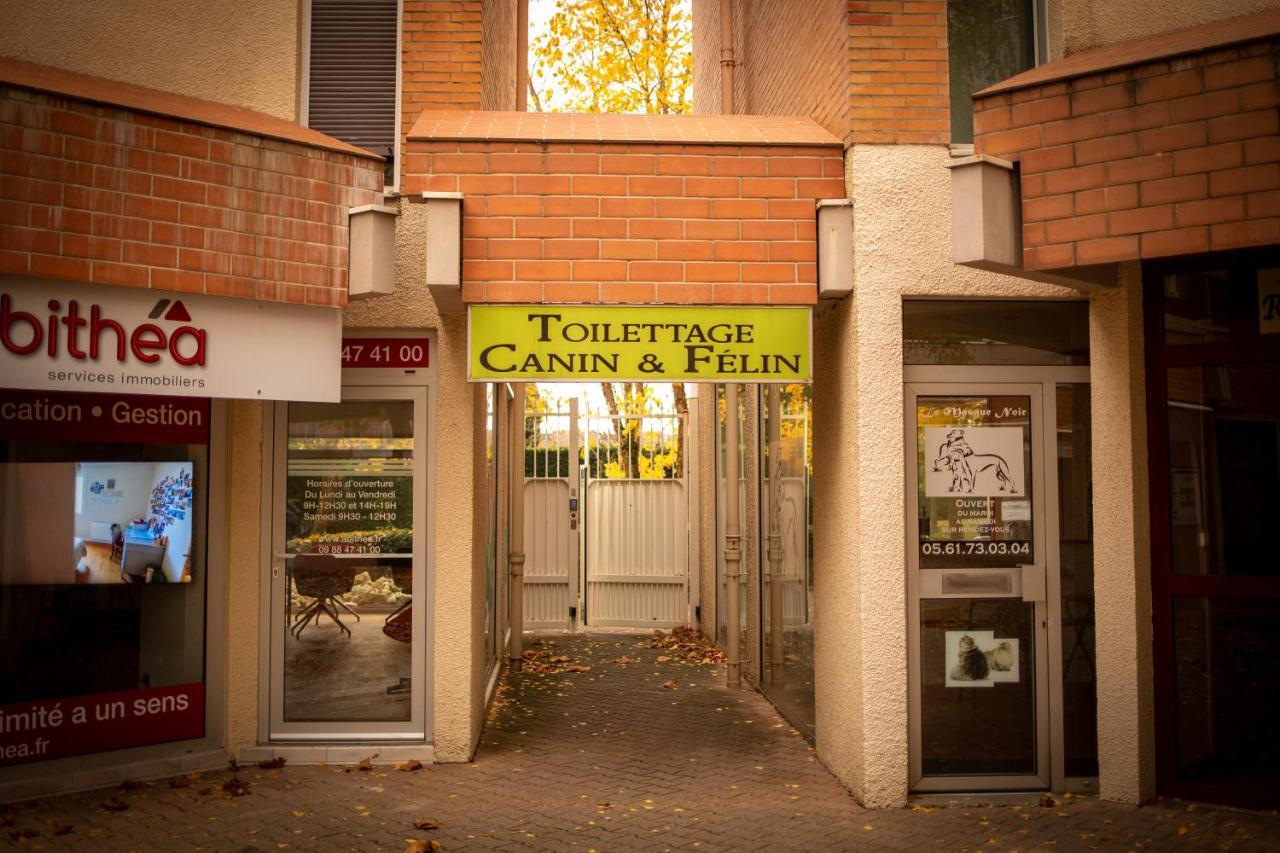 Charmant Studio☆Netflix☆Canal+☆Canal Sat☆Parking☆ Ramonville-Saint-Agne Luaran gambar